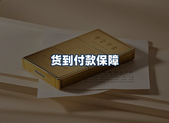 专业团队办公环境